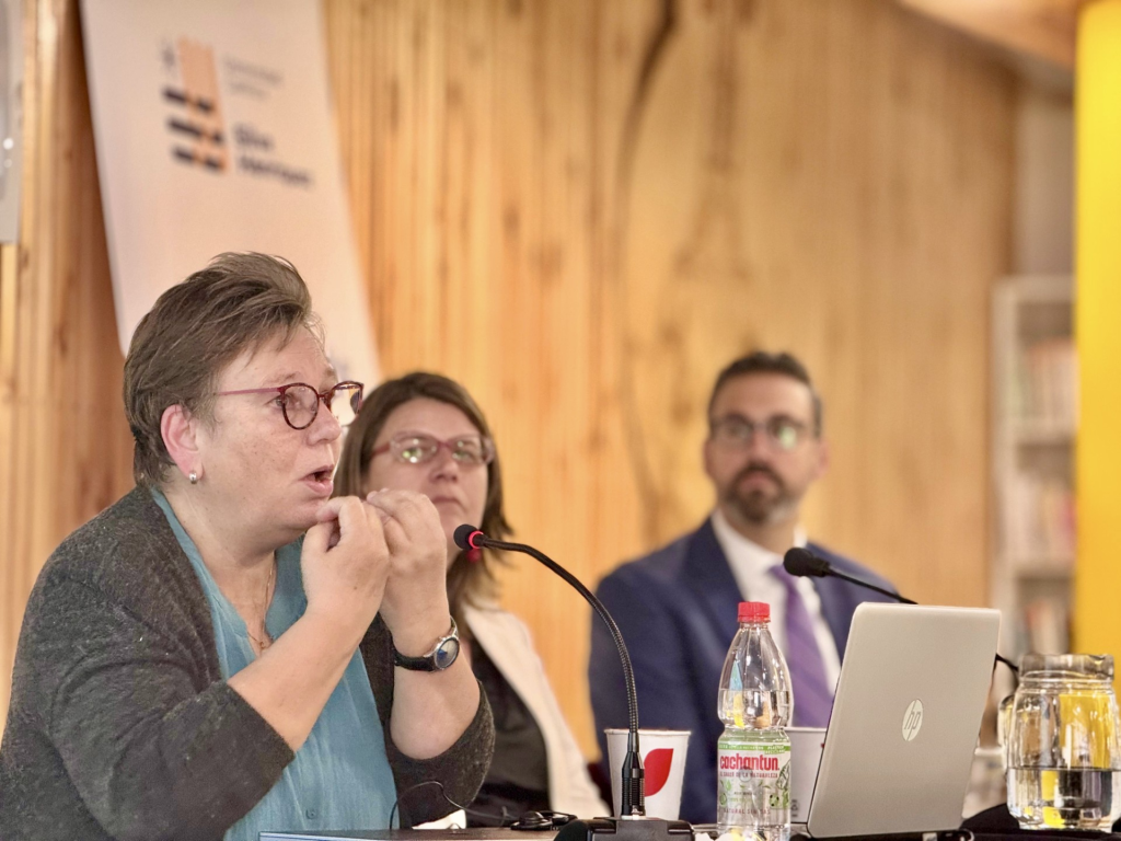 Image 2: Dr. Hille Hakers Presentation

